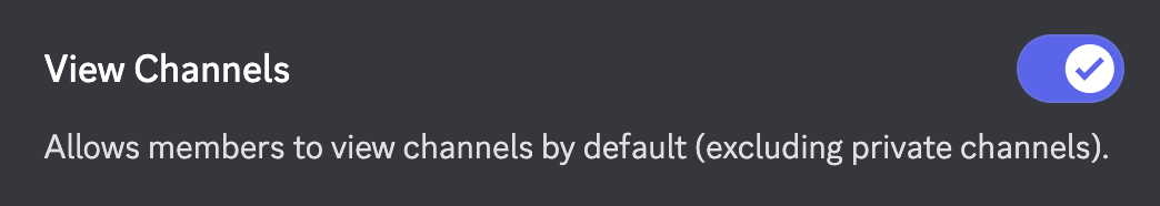 View Channels Permissions